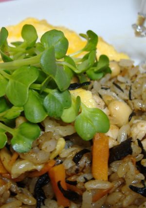 ひじき入り炒飯-レシピのメイン写真