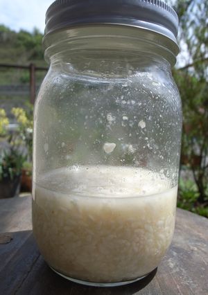 天然酵母☀米麹☀-レシピのメイン写真
