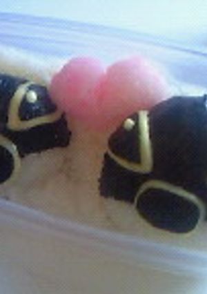 キャラ弁、おにぎり、に簡単なスティッチ-レシピのメイン写真