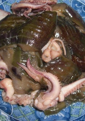いかとなすのこっくり煮-レシピのメイン写真