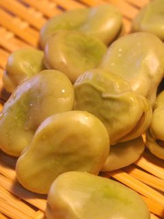 茹でそら豆(そらまめ)-レシピのメイン写真