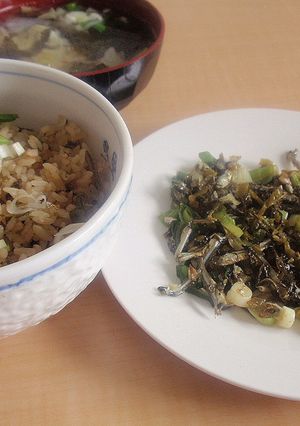 高菜いりこ佃煮＆高菜炊き飯-レシピのメイン写真