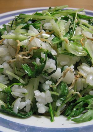 カリカリちりめんじゃこと水菜のチャーハン-レシピのメイン写真