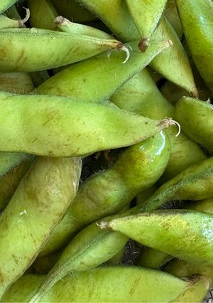 塩味のある枝豆の美味しい茹で方-レシピのメイン写真