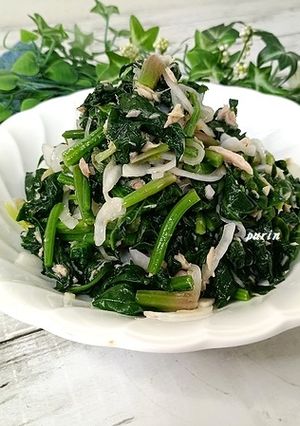 ほうれん草と新玉ねぎのツナ缶和え-レシピのメイン写真