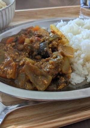 未完成スパイスカレー＃1-レシピのメイン写真