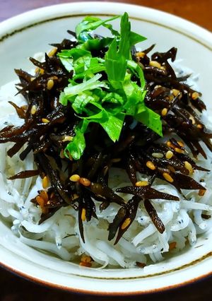 プレーンひじきのしらすご飯　発芽燕麦入り-レシピのメイン写真