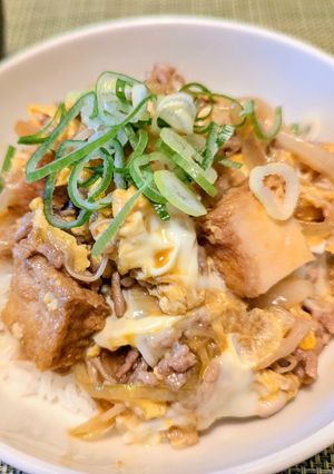 旨味しみしみ♪厚揚げのすき玉そぼろ丼-レシピのメイン写真