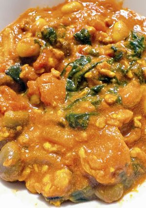 タンパク質重視なインドカレー-レシピのメイン写真