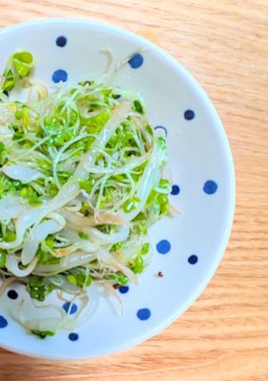 スプラウトともやしの和え物-レシピのメイン写真