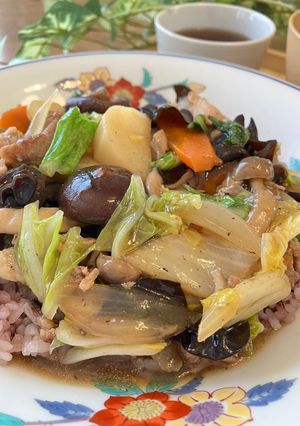 腸活に♪野菜たっぷり五目あんかけご飯-レシピのメイン写真