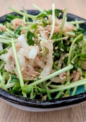 大根と豆苗のサラダ-レシピのメイン写真