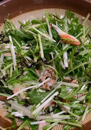 水菜のごちそうサラダ-レシピのメイン写真