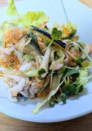 野菜たっぷり豚しゃぶサラダ-レシピのメイン写真