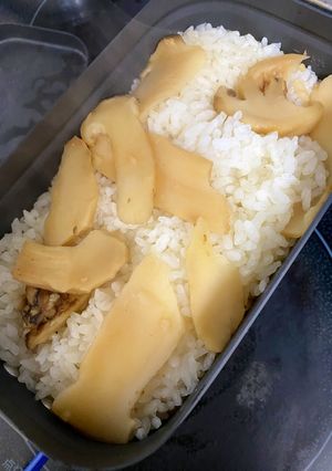 キャンプ飯！メスティンで炊く松茸ご飯-レシピのメイン写真