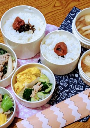 お弁当2025年12月12日-レシピのメイン写真