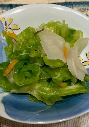春キャベツとカブの浅漬け-レシピのメイン写真