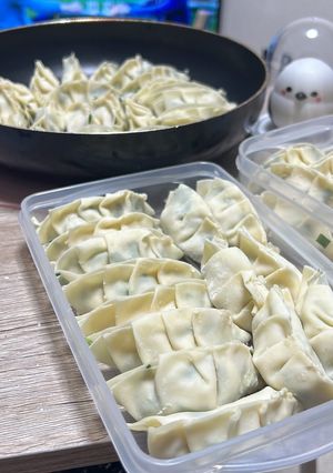 豆腐とキャベツWかさ増し餃子-レシピのメイン写真