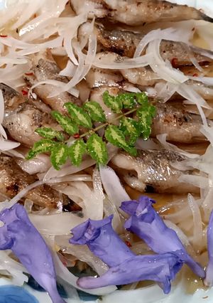 メヒカリ(塩焼き)で南蛮漬け-レシピのメイン写真