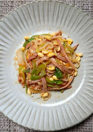 ヨウサマの減塩焼豚と種もやしの麻辣醤和え-レシピのメイン写真