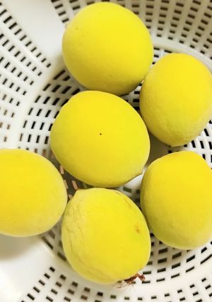 梅干しの下準備・漬け込み-レシピのメイン写真