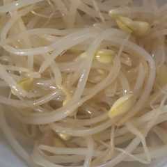 รูปของ さっぱり美味しい豆もやしの簡単ナムル😋