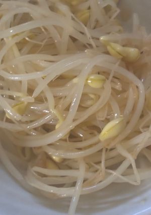 さっぱり美味しい豆もやしの簡単ナムル😋-レシピのメイン写真