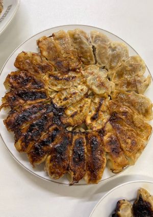 ヘルシーで健康的！鹿肉の美味しい餃子！！-レシピのメイン写真