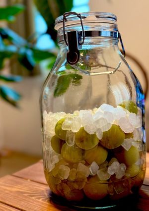 梅シロップ（薩摩西郷梅）-レシピのメイン写真