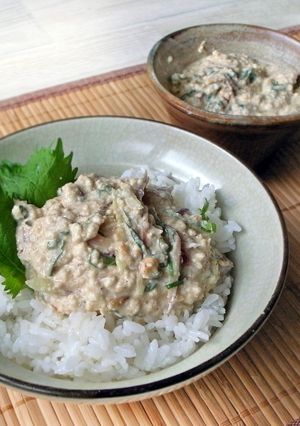 冷や汁風ごまだれ豆腐丼-レシピのメイン写真