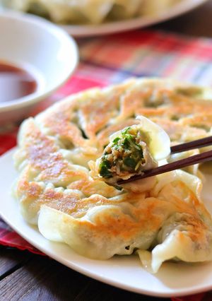 キャベツ無し！水菜とニラの餃子-レシピのメイン写真