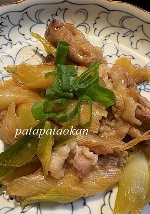 白ネギと豚肉の炒め物-レシピのメイン写真