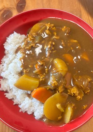 大豆ミートカレー-レシピのメイン写真