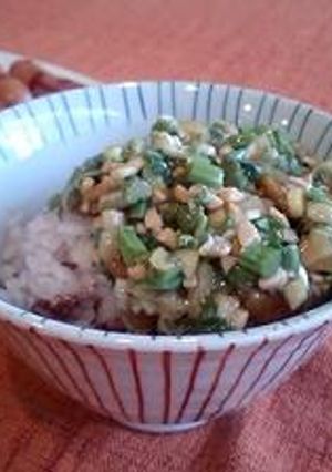 だし（刻み野菜と納豆のネバネバ丼）-レシピのメイン写真