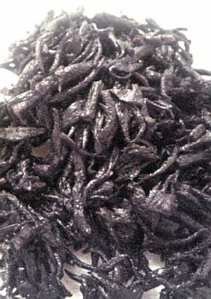 ひじきの煮物-レシピのメイン写真