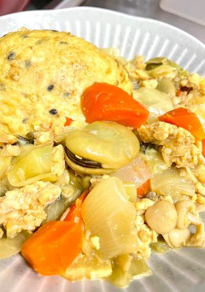 野菜たっぷりカレーがんもどき-レシピのメイン写真