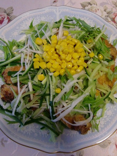 とんかつサラダ-レシピのメイン写真