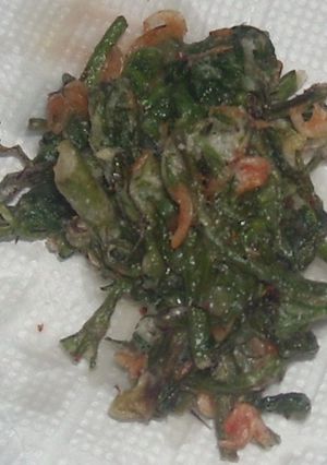 コシアブラ＆干し海老のかき揚げ-レシピのメイン写真