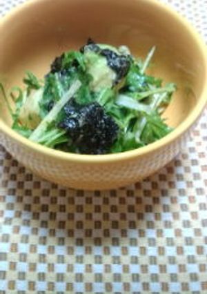 アボガドと水菜の海苔サラダ-レシピのメイン写真