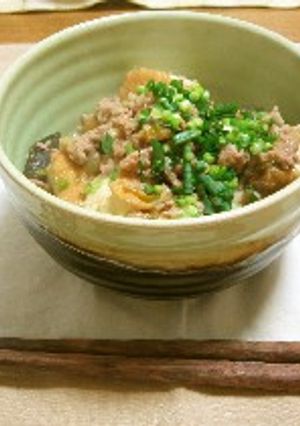 厚揚げと下仁田ネギのさっと煮-レシピのメイン写真