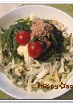 ひじきツナde野菜たっぷりカサマシうどん-レシピのメイン写真