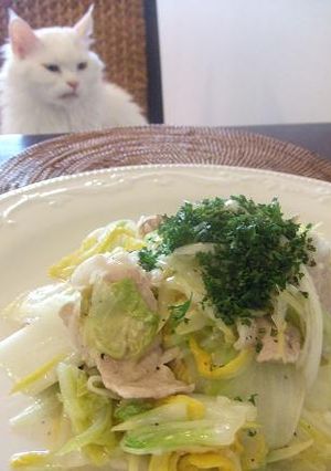 ☆簡単！白菜と豚肉de洋風？！塩炒め☆-レシピのメイン写真
