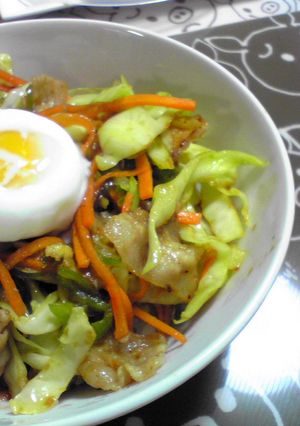冷蔵庫の残り物で超簡単肉野菜丼だド～ﾝ☆-レシピのメイン写真