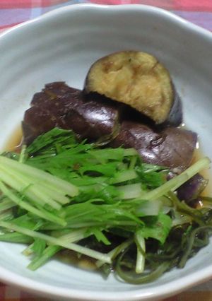大葉にんにく醤油で♪ナスと水菜のさっと煮-レシピのメイン写真