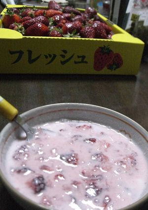 簡単☆ミルキー苺ヨーグルト-レシピのメイン写真