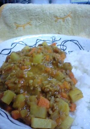 いつもの野菜で挽肉のカレー♪-レシピのメイン写真