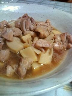 竹の子(筍)と鶏肉の煮もの-レシピのメイン写真