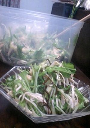 水菜と塩こんぶのサラダ-レシピのメイン写真