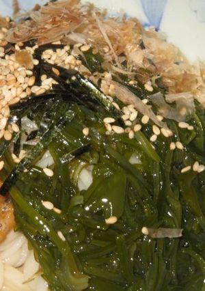 めんつゆそうめん！-レシピのメイン写真