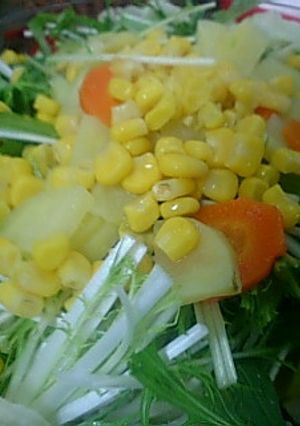 カラフルサラダ-レシピのメイン写真